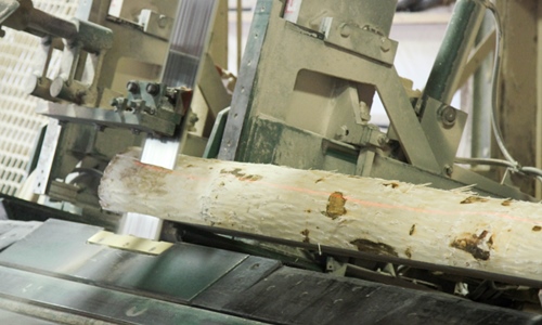 MTE cuts quality wood for excellent cabinets Cabinet Grade Lumber Cut by Bandsaw
