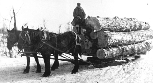 MTE sets the standard for forest sustainability Timber Harvest History