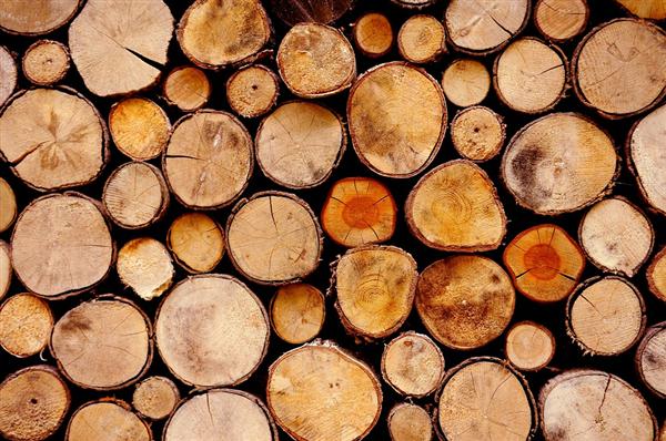 Wisconsin Rapids' Top Sustainable Lumber Supplier for Businesses