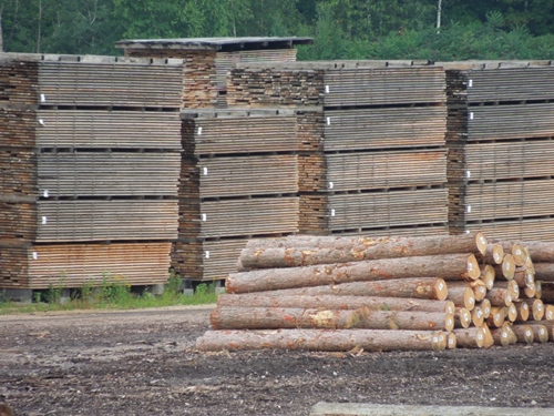 Lumber and timber for sale for all industries Lumber and Timber for Sale