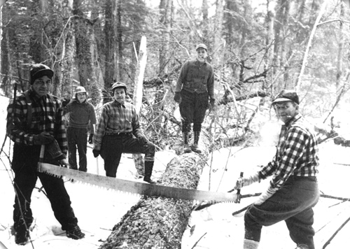MTE has been providing lumber for over a century History of MTE Lumber