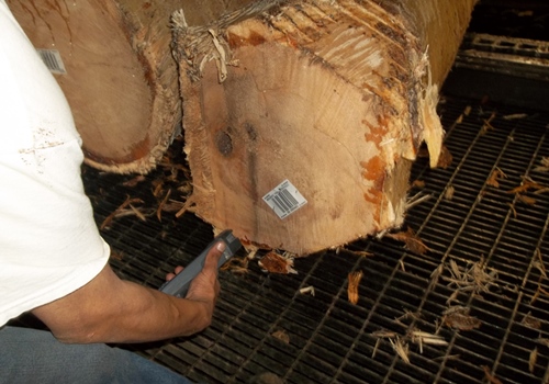MTE provides quality LEED Certified lumber and wood products Worker Scanning Lumber