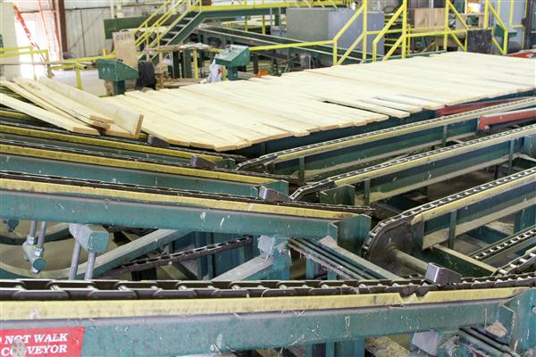 Lumber for sale from MTE by the board foot Board Feet of Lumber available from MTE