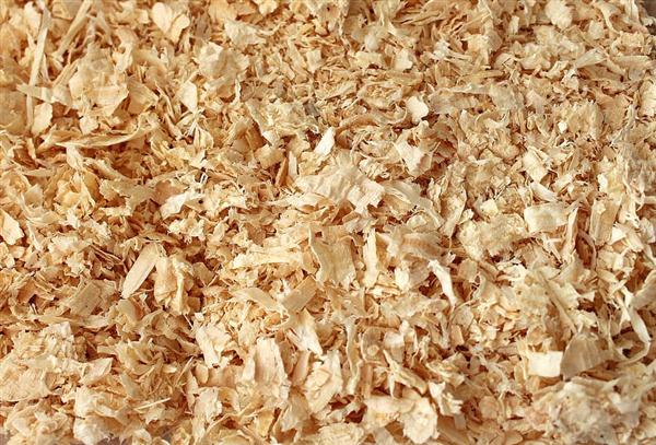 Bulk Wood Shavings for Sale from Wisconsin's forests