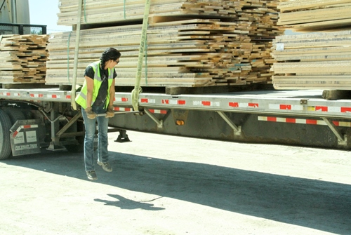 Qualtiy lumber for wood exporters and brokers Wood Loaded on Truck